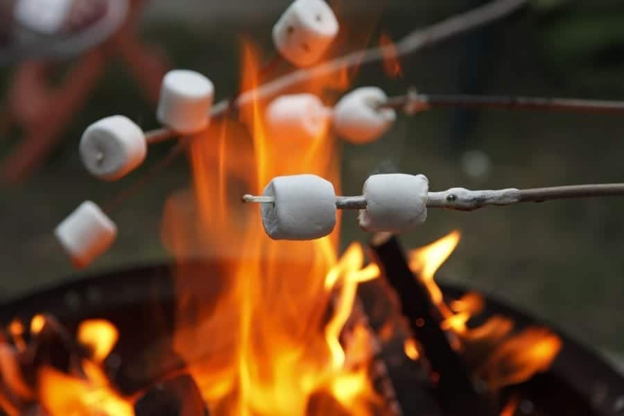 Marshmallows roast on sticks above an open campfire
